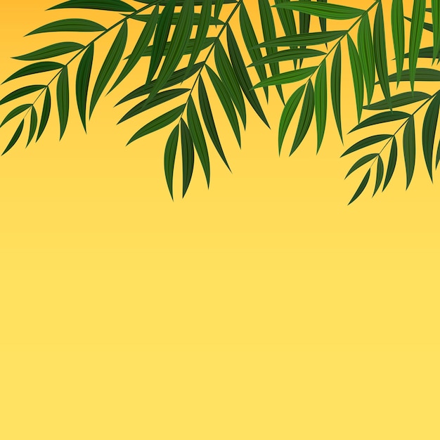 Hoja de palmera verde realista abstracto tropical