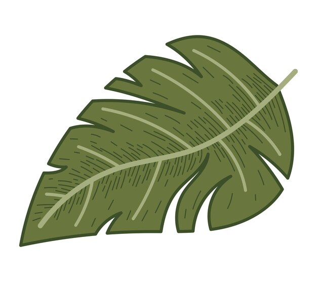 Hoja plana tropical decorativa de monstera vector aislado estilo de dibujo de ilustración de planta natural