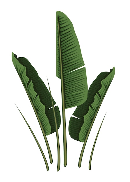 Hoja planta verde naturaleza vector fondo ilustración diseño patrón flor árbol hojas rama