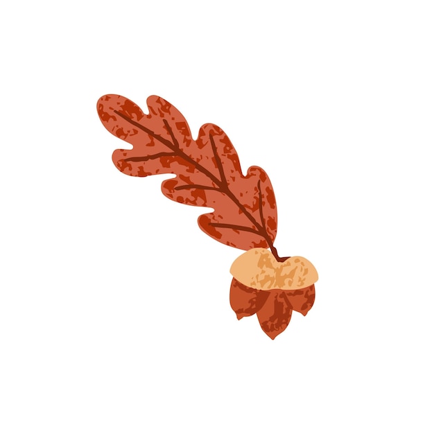 Hoja seca de roble de otoño con nueces de bellota Hojas de follaje de otoño en septiembre Follaje de octubre marrón Ilustración de vector plano botánico moderno de planta aislada sobre fondo blanco
