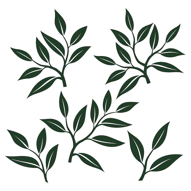 hoja de té vector brote de té con hojas silueta de hojas de té hoja de té silueta de hoja colección