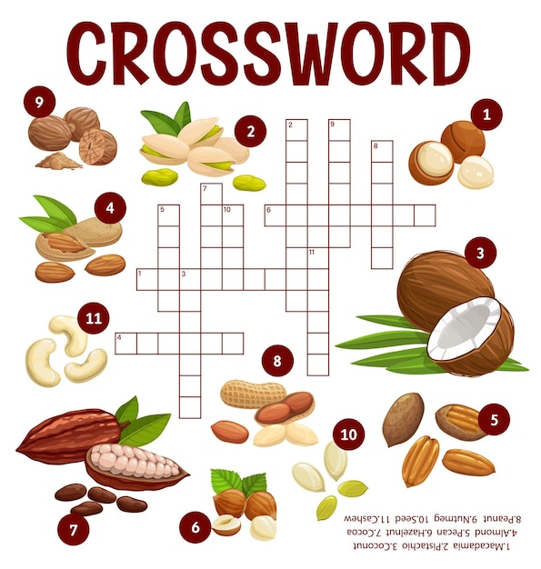 Hoja de trabajo de crucigramas de nueces y frijoles de dibujos animados encontrar una palabra juego de preguntas Rompecabezas de búsqueda de vectores con macadamia pistacho coco y almendra nuez avellana cacao o maní nuez moscada semilla de calabaza o anacardo