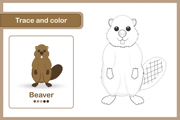 Hoja de trabajo de dibujo para niños en edad preescolar, Traza y color: Castor