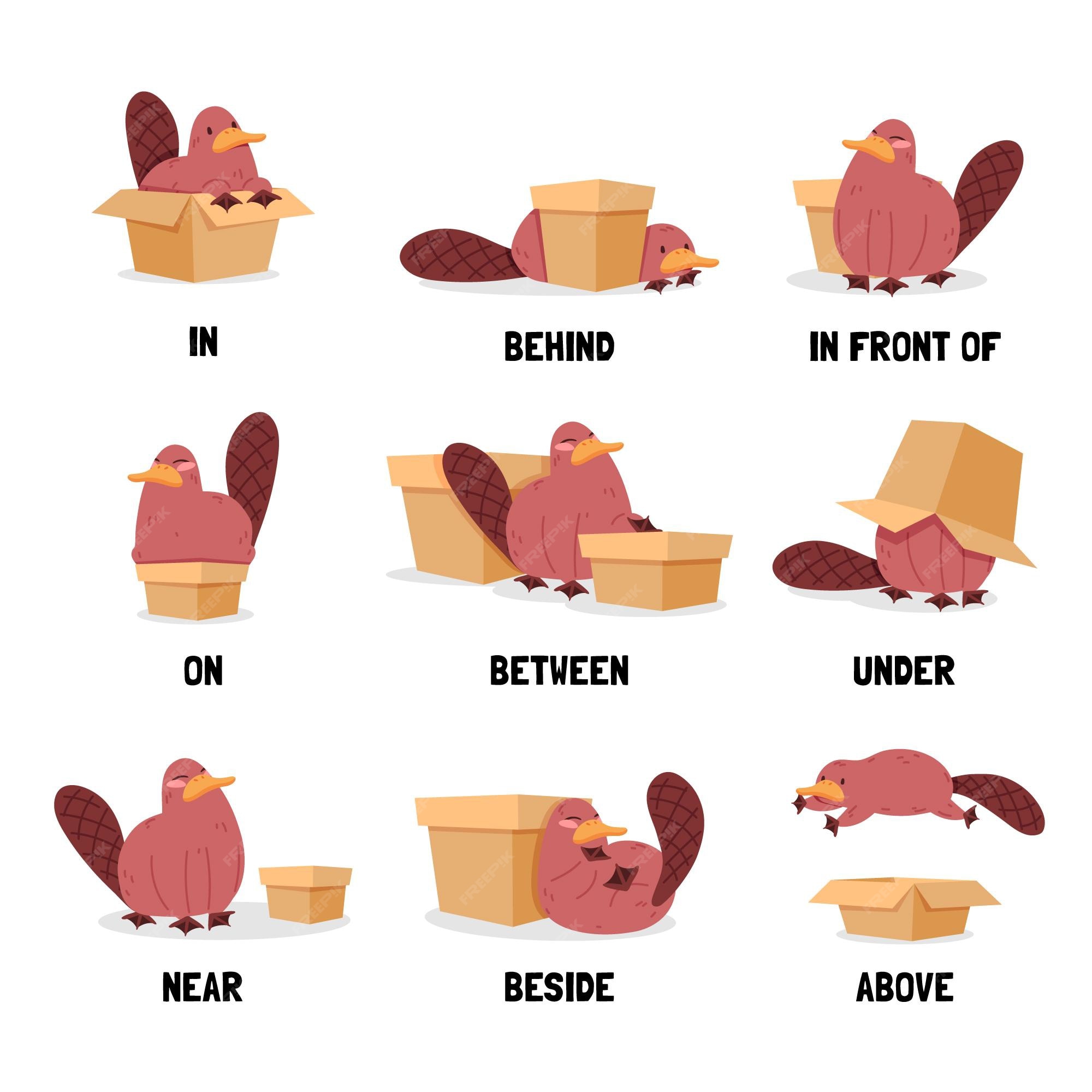 Prepositions of place for Kids