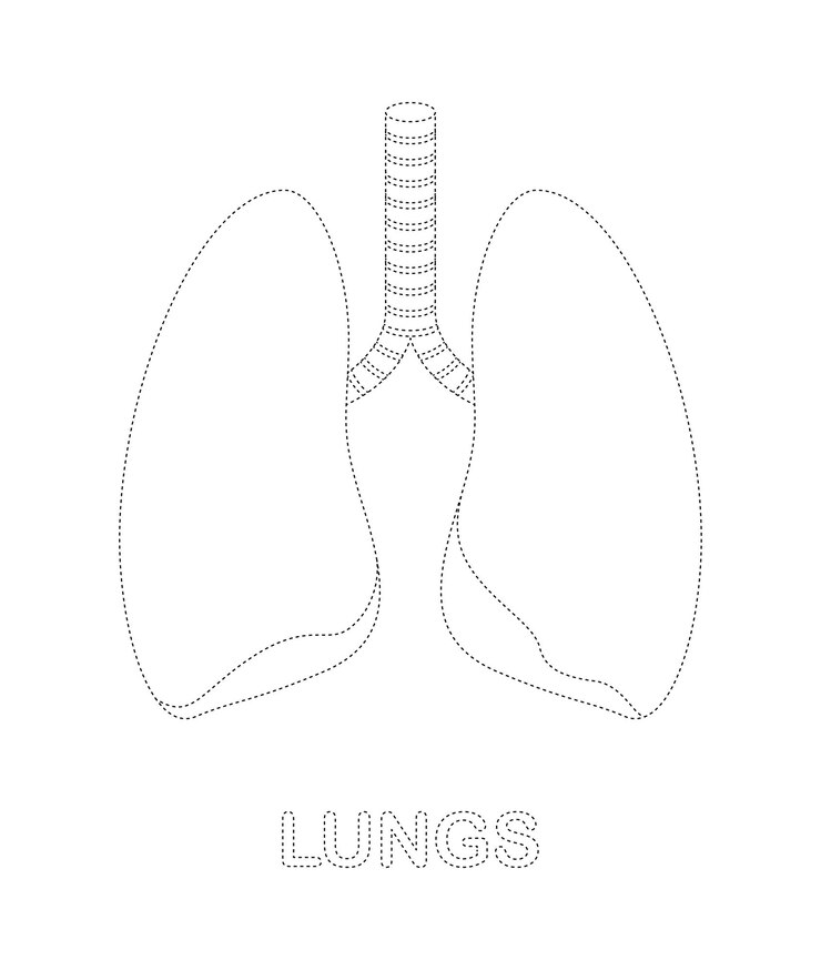 Vector hoja de trabajo de rastreo de pulmones para niños
