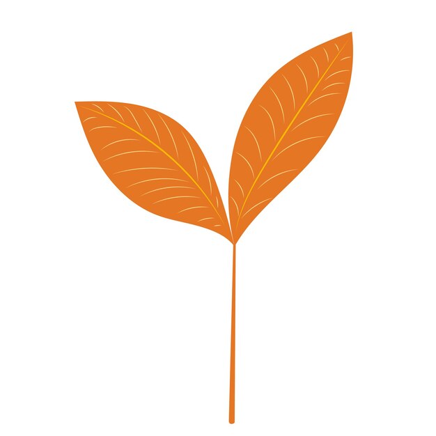 Hoja en vector aislado de diseño plano