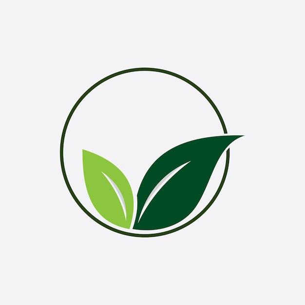Hoja vector ilustración diseño icono logo