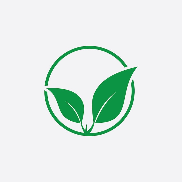 Hoja vector ilustración diseño icono logo