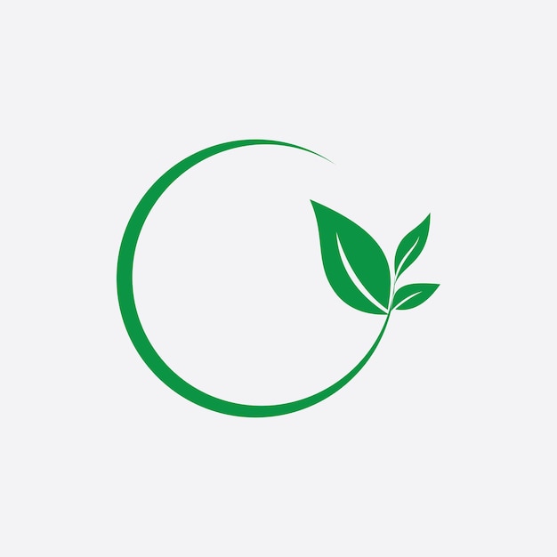 Hoja vector ilustración diseño icono logo