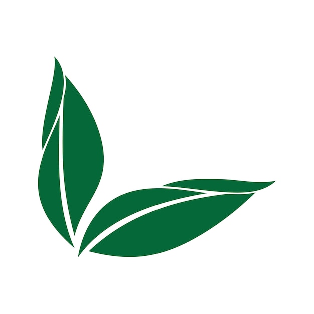 Hoja vector ilustración diseño icono logo