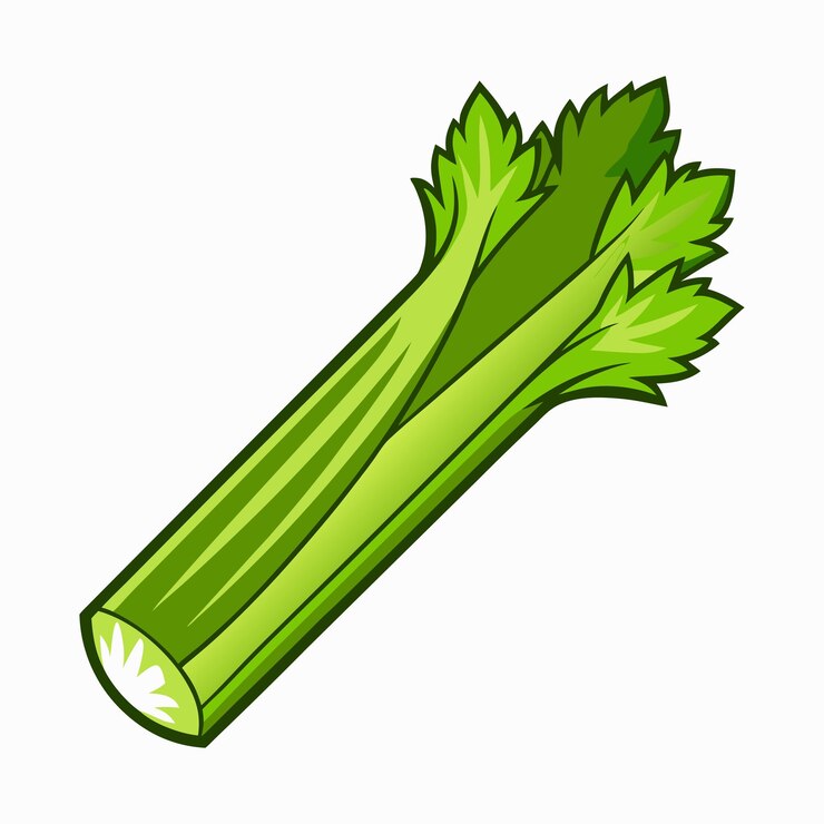 Vector una hoja verde de apio se muestra sobre un fondo blanco