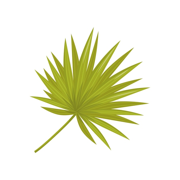 Hoja verde brillante de palmera Tema tropical o botánico Elemento de vector plano para volante promocional o banner de agencia de viajes