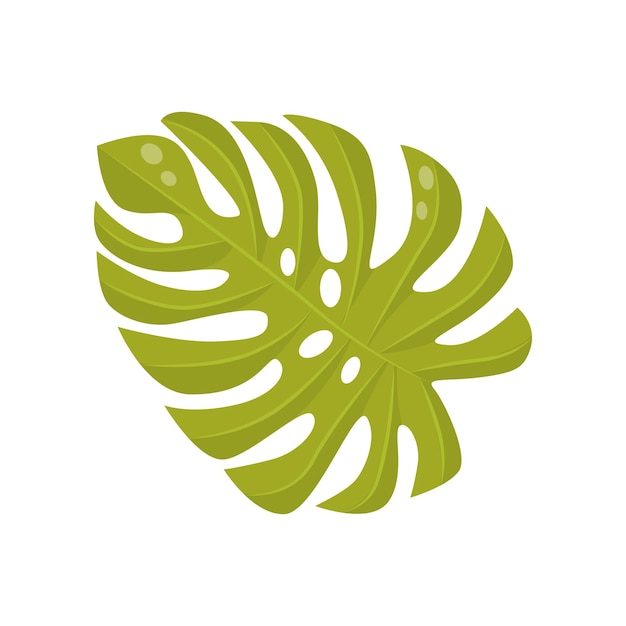 Hoja verde brillante de la planta tropical monstera Follaje de la selva Tema botánico Elemento de vector plano para cartel promocional o volante