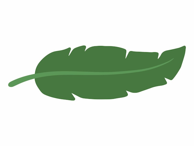 una hoja verde con un fondo blanco que dice hoja