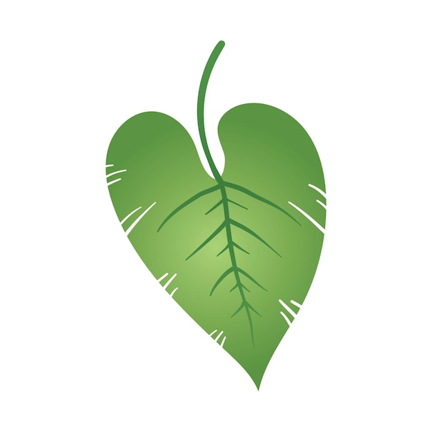 Hoja verde en forma de corazón