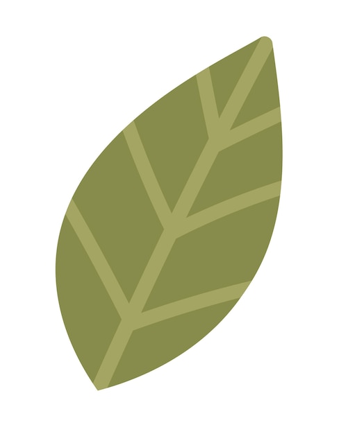 Una hoja verde con líneas en ella