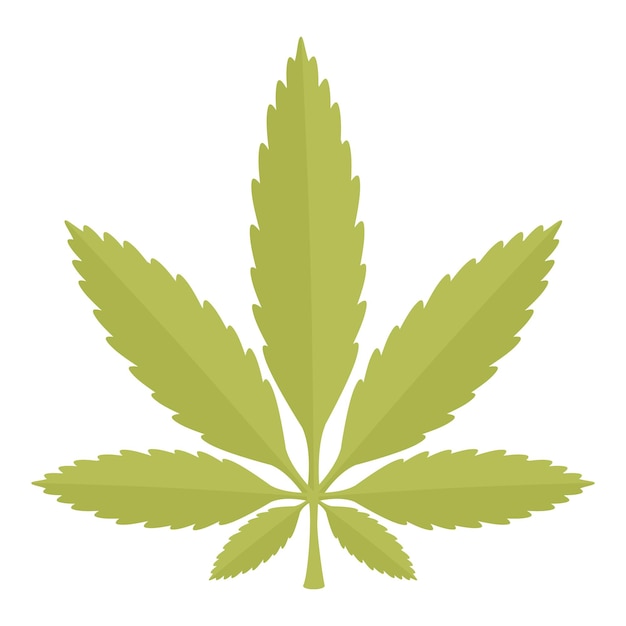 Hoja verde de marihuana con siete folletos aislados sobre un fondo blanco