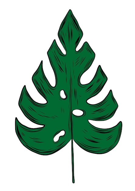 Hoja verde de Monstera en estilo boceto dibujado a mano