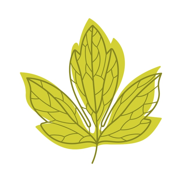 Hoja verde de otoño con venas como follaje estacional en la ilustración del vector del tallo