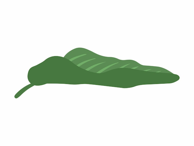 una hoja verde con la palabra no en ella