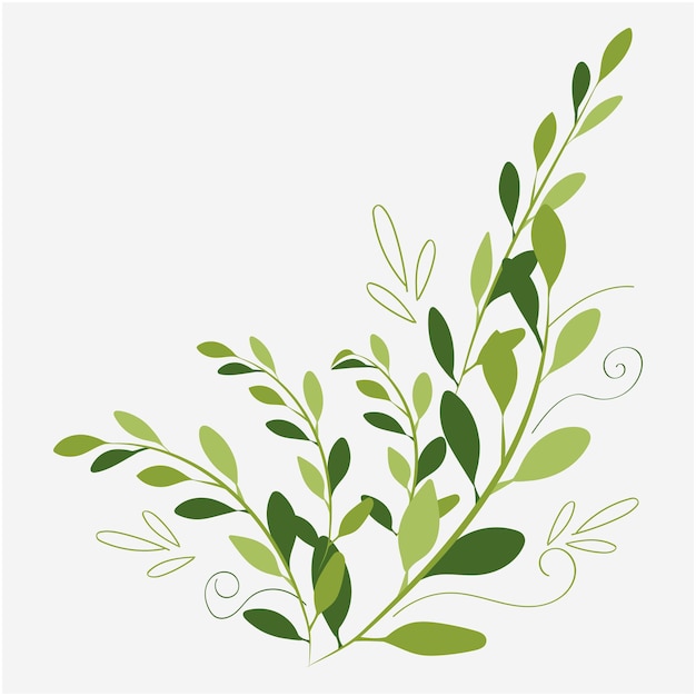 Hoja verde con vector de fondo blanco