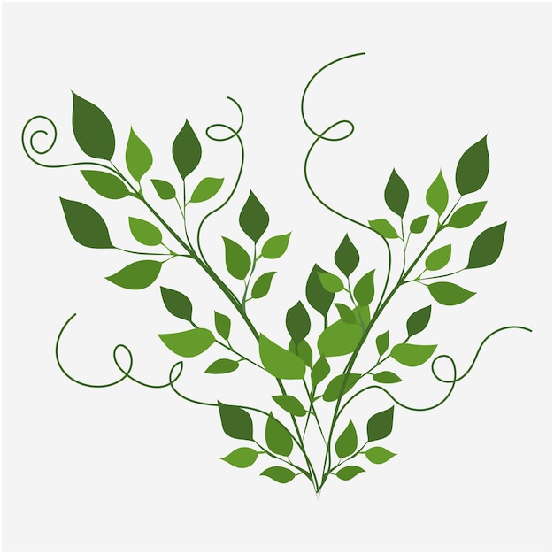 Hoja verde con vector de fondo blanco