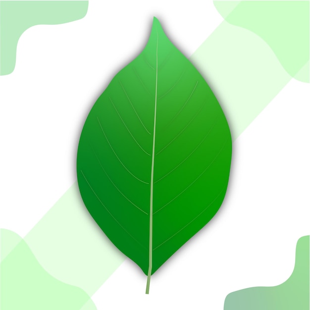 Vector hoja verde