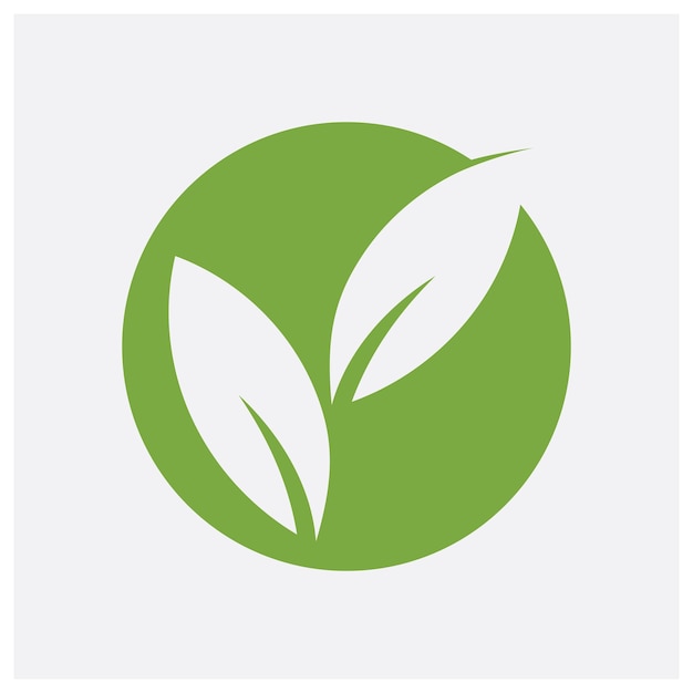hoja