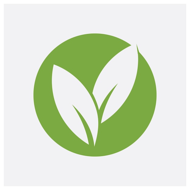 hoja