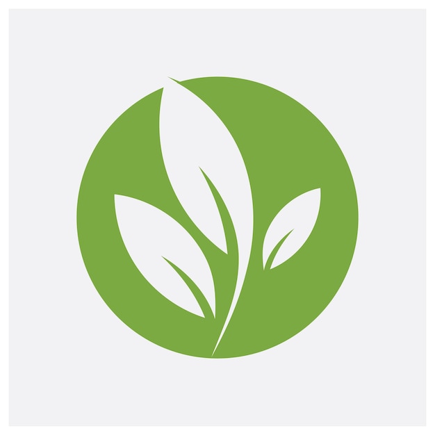 hoja