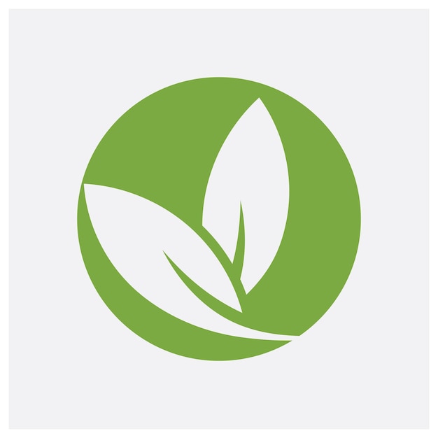 hoja