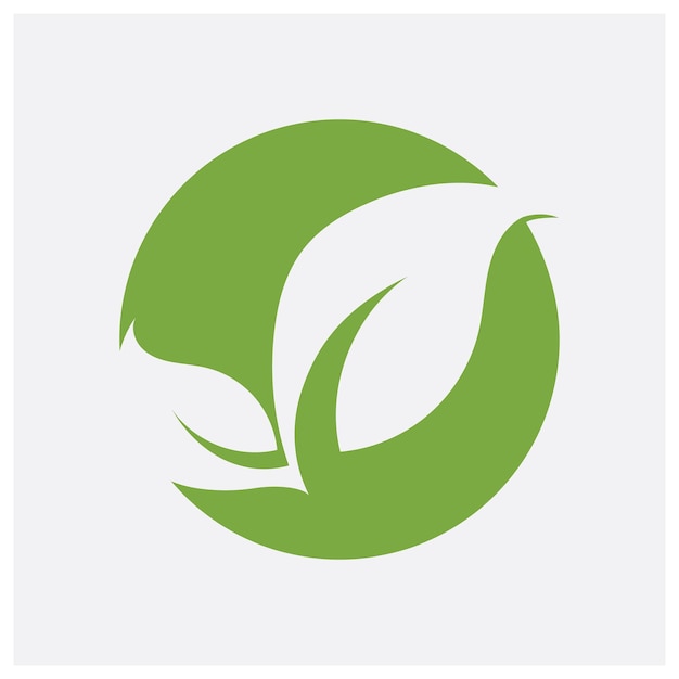 hoja