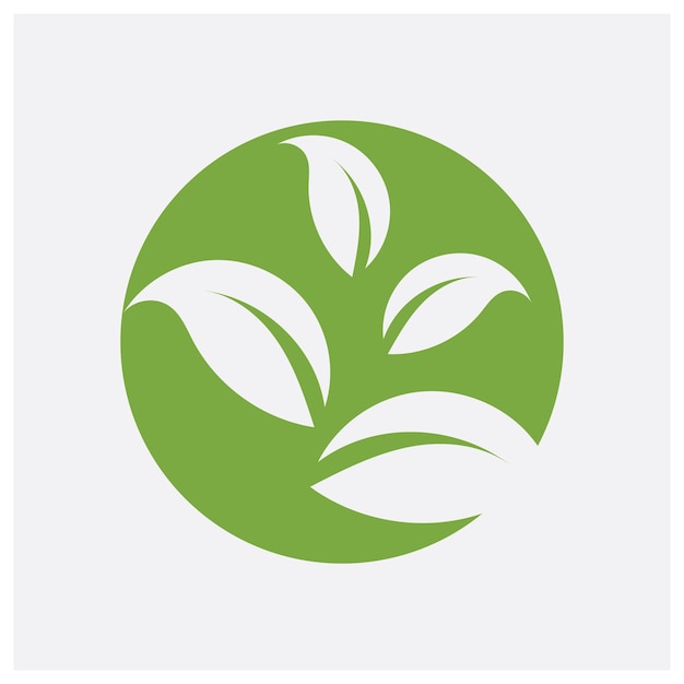 hoja