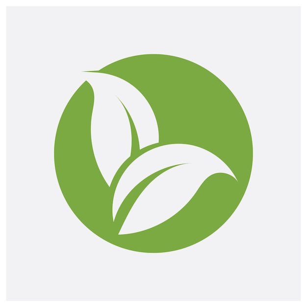 hoja