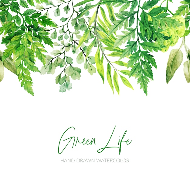 Vector hojas de acuarela, encabezado verde, borde transparente, dibujado a mano