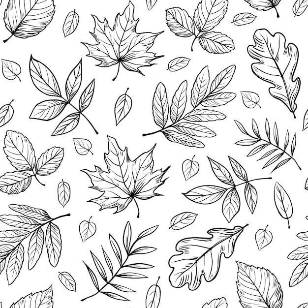 Vector hojas de árbol patrón floral sin costuras fondo de primavera boceto de garabateo vectorial