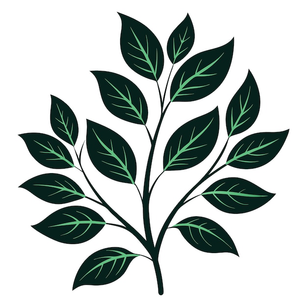 hojas de árbol con silueta en fondo blanco