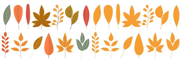 hojas de los árboles de otoño en el vector de fondo blanco