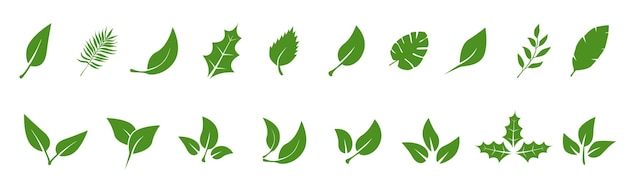 Hojas de árboles y plantas Hojas tropicales Conjunto de iconos de hojas verdes Hojas sobre fondo blanco Ilustración vectorial de ecología