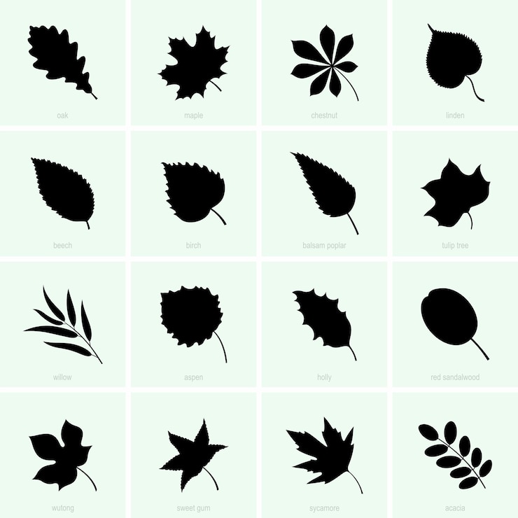 Vector hojas de los árboles