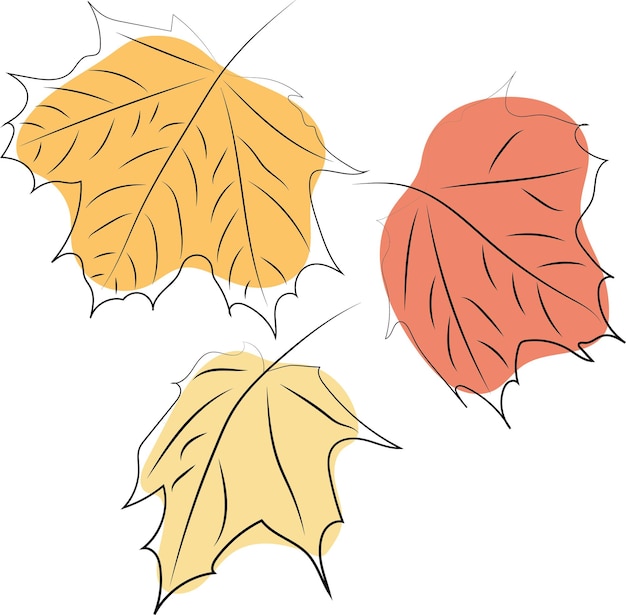 Hojas de arce Arte de línea de color de otoño Ilustración vectorial de alta calidad