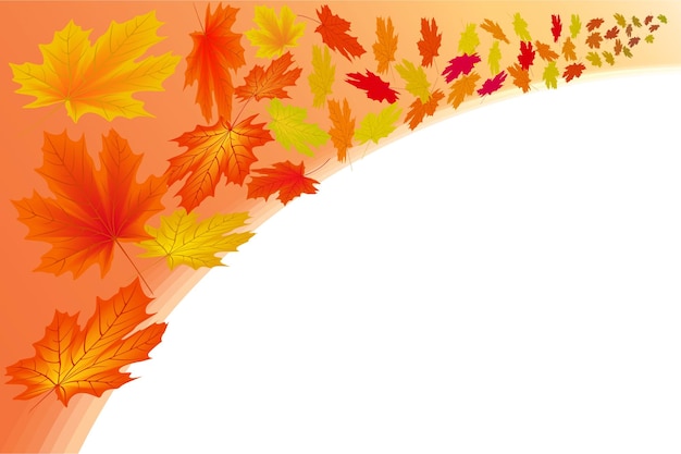 Hojas de arce de otoño