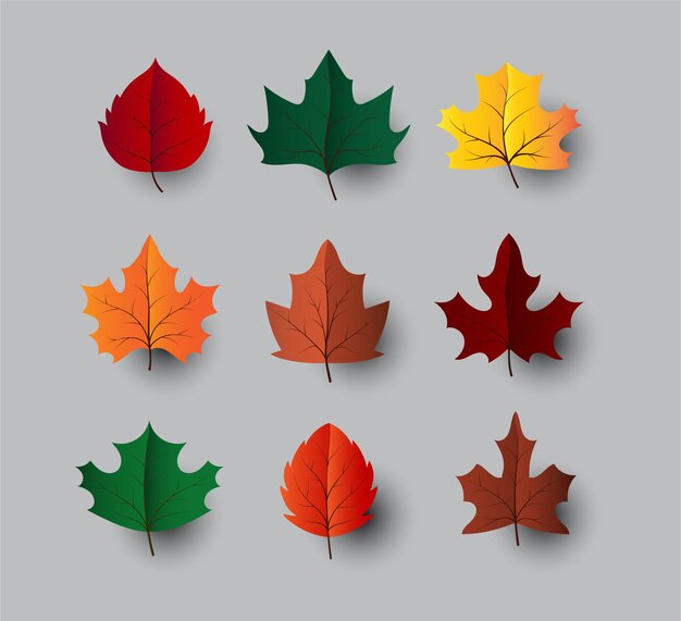 hojas de arce vector set otoño