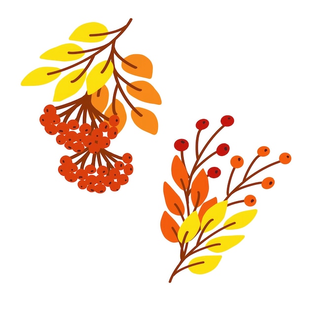 Hojas y bayas de otoño brillantes ilustradas en vibrantes