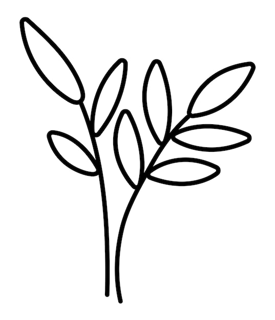 Hojas en blanco y negro vectorial Imagen de ramitas de contorno Ilustración de planta divertida o página para colorear aislada en fondo blanco