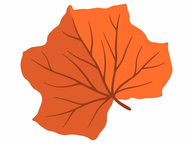 Las hojas del bosque de otoño dibujadas a mano Ilustración de hojas de otoño