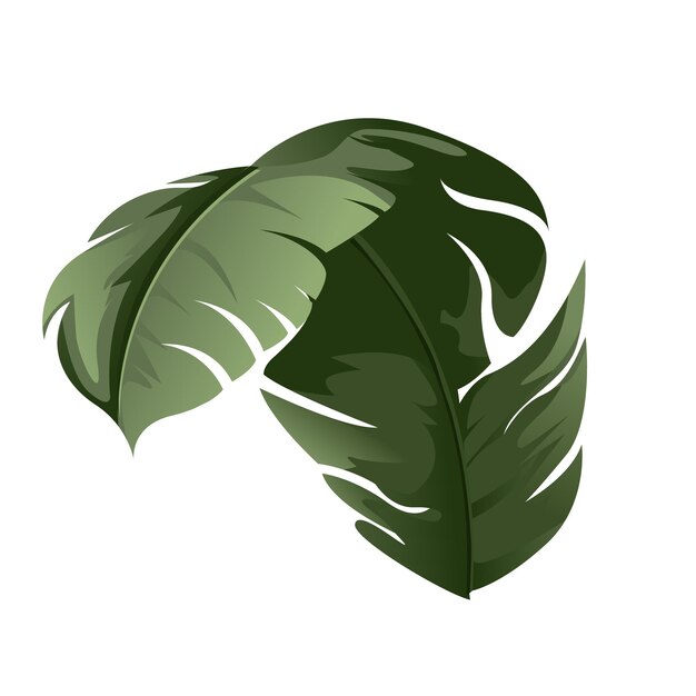 HOJAS DE COLOR VERDE, ILUSTRACIÓN VECTORIAL