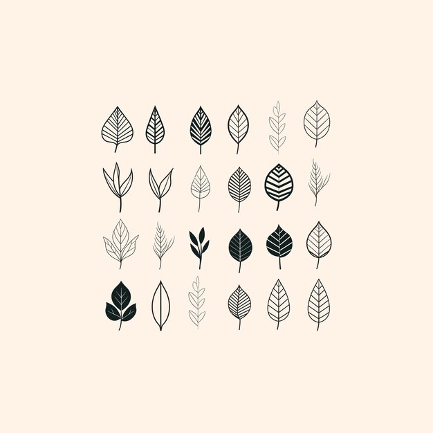 Hojas Conjunto de hojas simple minimalista Arte de línea