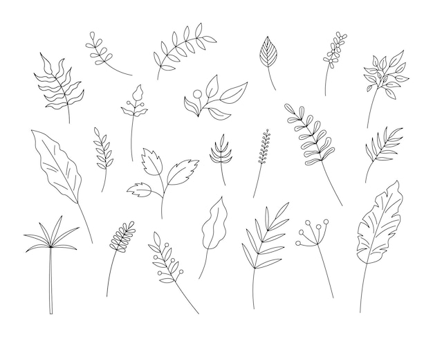 Hojas de contorno aisladas Conjunto vectorial de elementos decorativos de plantas sobre fondo blanco Objetos de línea dibujados a mano simples para diseños florales