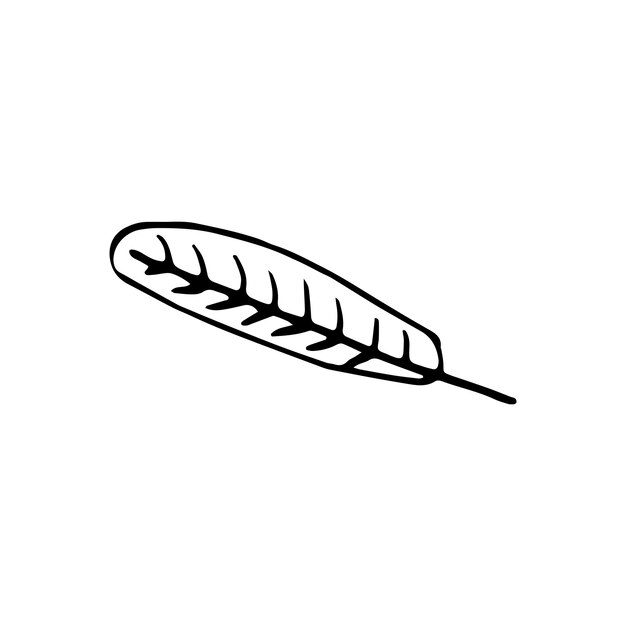 Hojas dibujadas a mano para decoración de invierno y otoño Ilustración de vector de Doodle